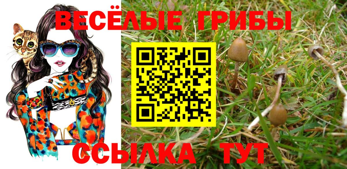 Псилоцибиновые грибы мицелий Вязьма