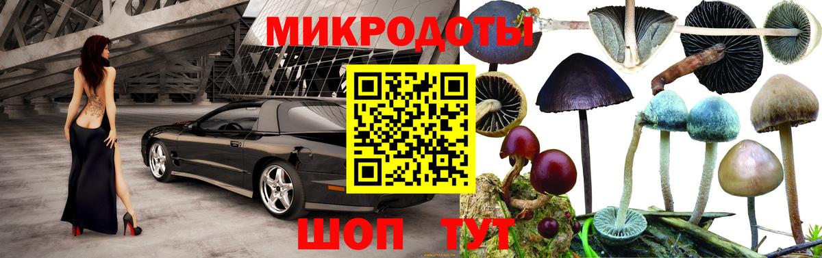Псилоцибиновые грибы мицелий  где купить наркоту  Вязьма  Вход с VPN 